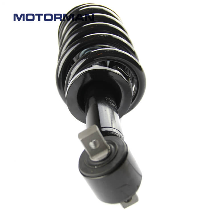 MOTORMAN Front Strut Assembly 139104