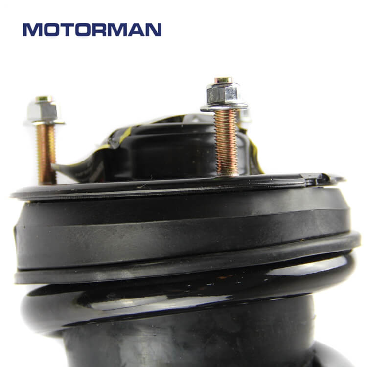 MOTORMAN Front Strut Assembly 139104