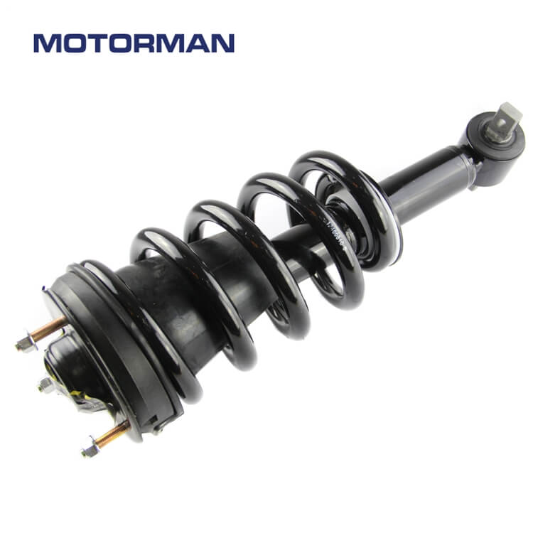 MOTORMAN Front Strut Assembly 139104