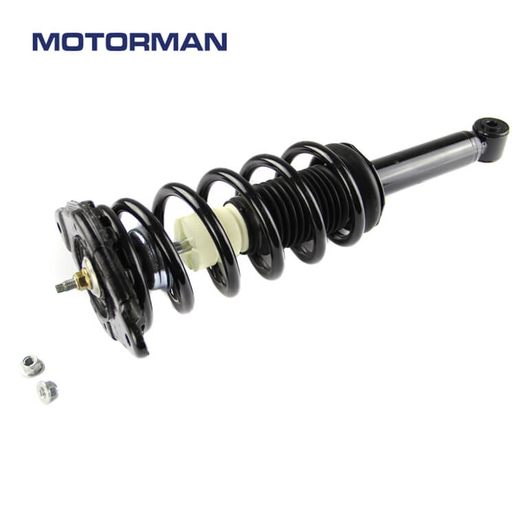 Motorman Strut Assembly 171312