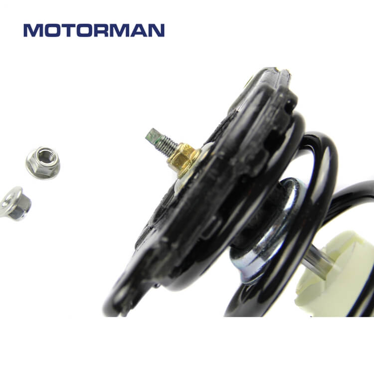 Motorman Strut Assembly 171312