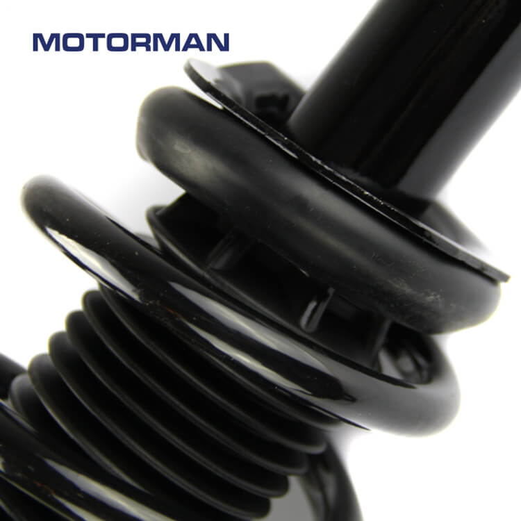 Motorman Strut Assembly 171312