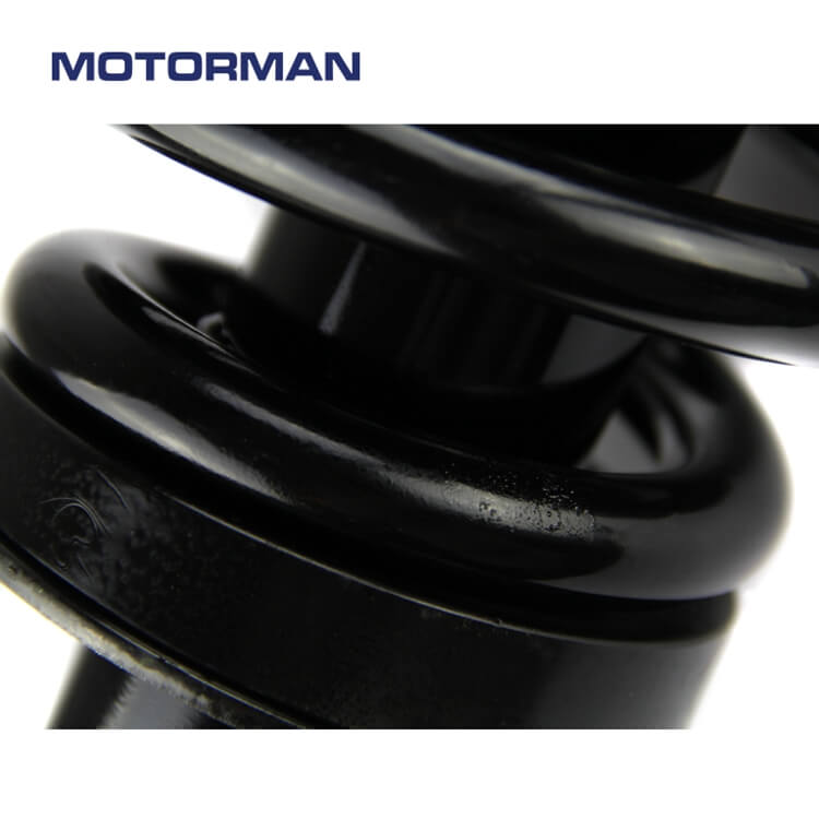 ​MOTORMAN Strut Assembly 171322