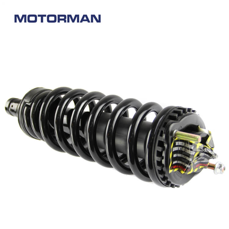 Motorman Strut Assembly 171341