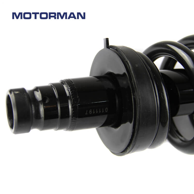 Motorman Strut Assembly 171341