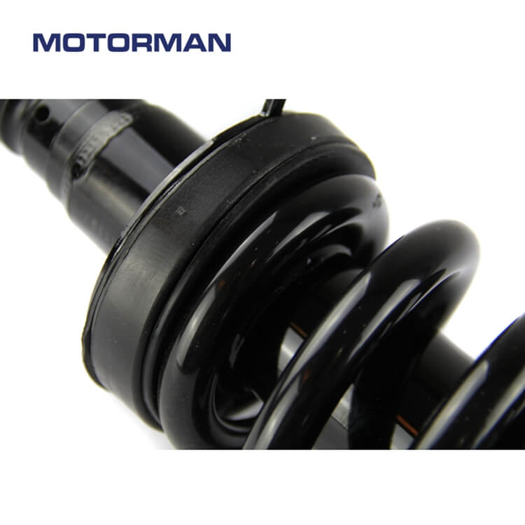 Motorman Strut Assembly 171341