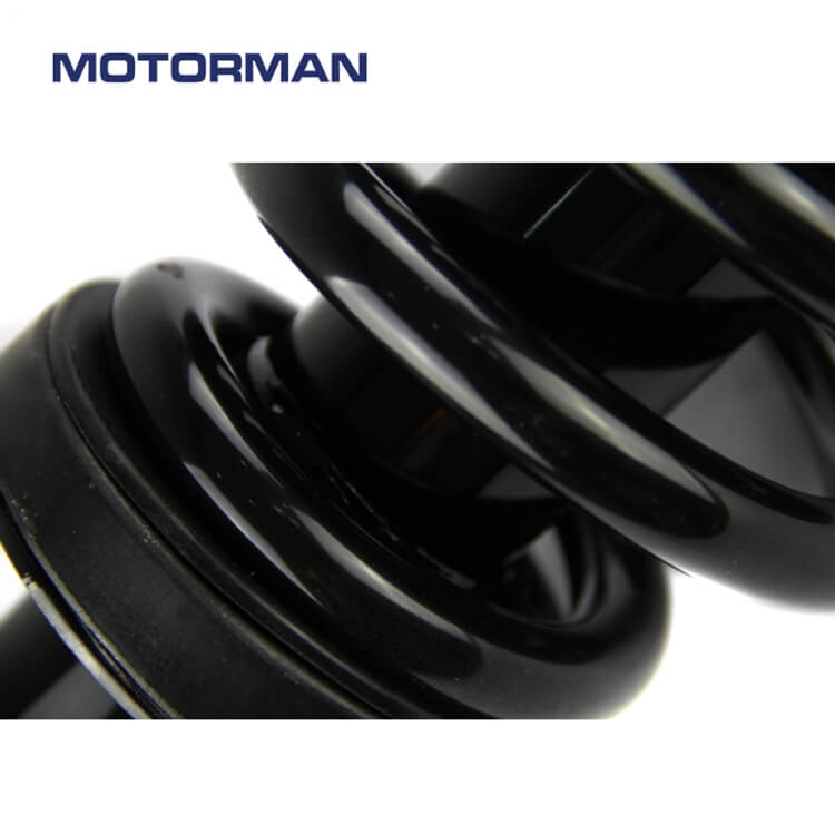 Motorman Strut Assembly 171341