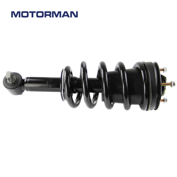 Motorman Strut Assembly 171341