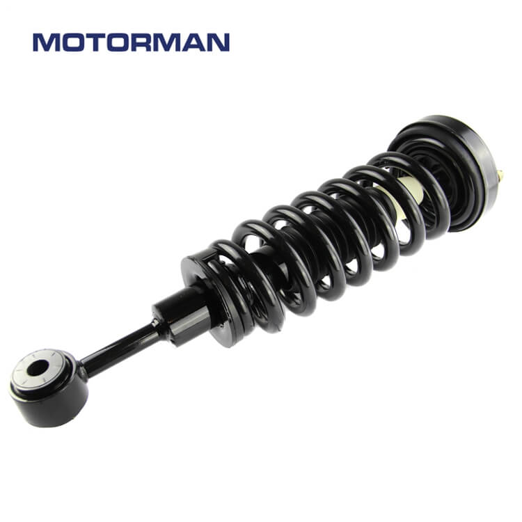 Motorman Strut Assembly 171361