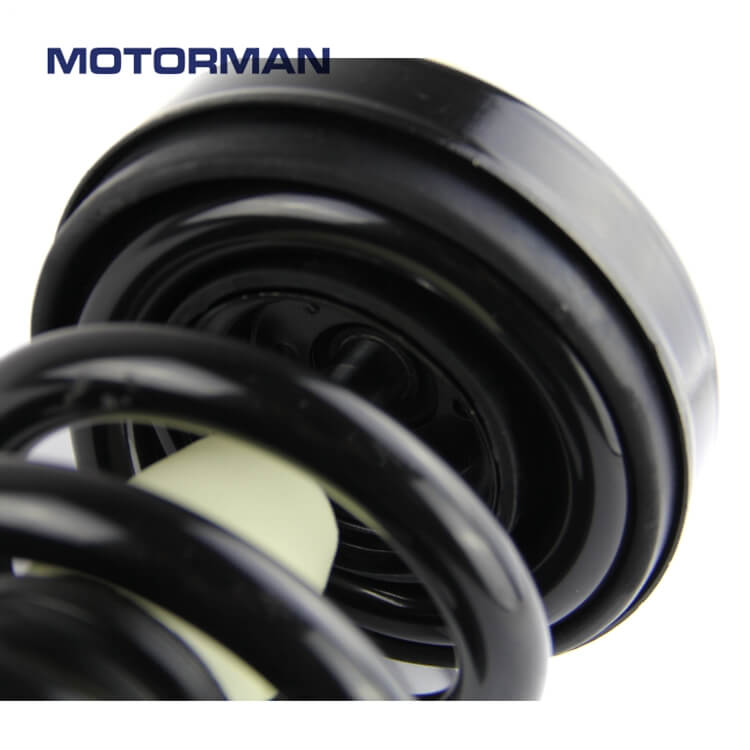 Motorman Strut Assembly 171361