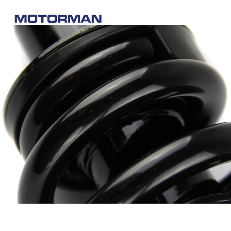 Motorman Strut Assembly 171361