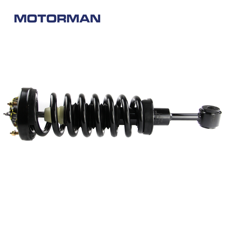 Motorman Strut Assembly 171361