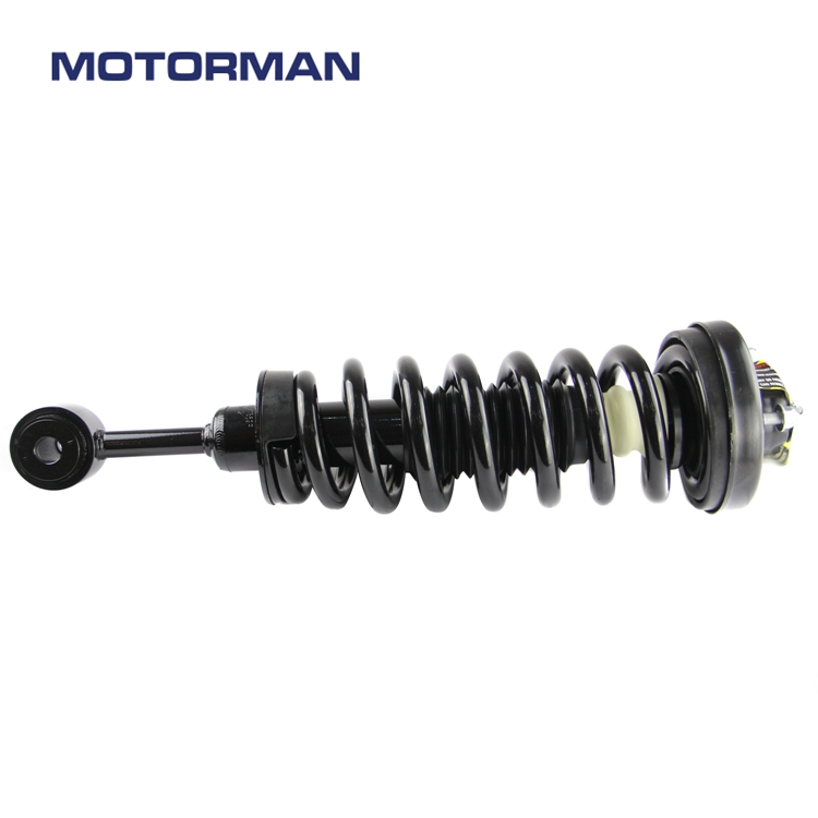 Suspension Parts Strut Assembly 171369