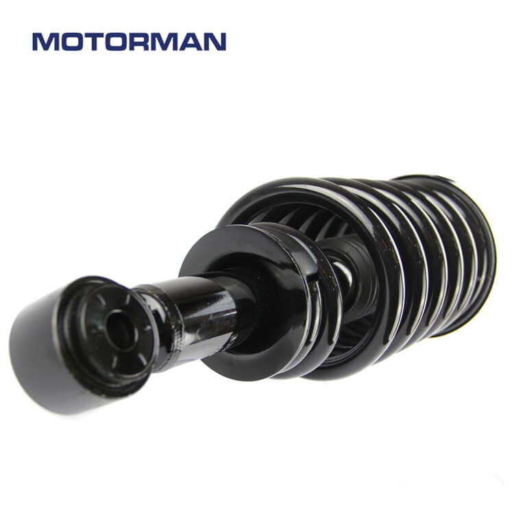 Suspension Parts Strut Assembly 171370