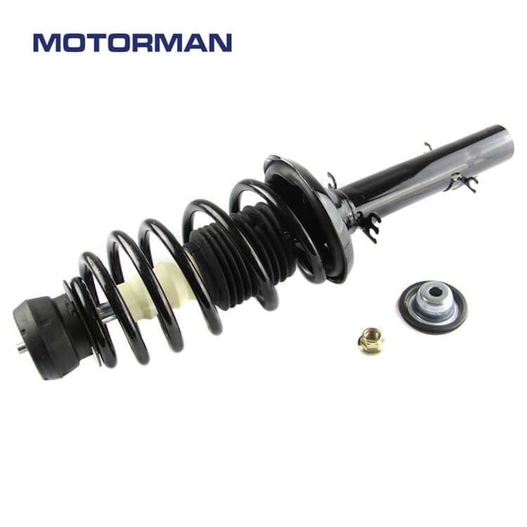 Motorman Strut Assembly 171525