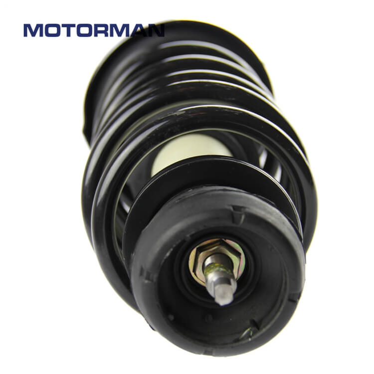 Motorman Strut Assembly 171525