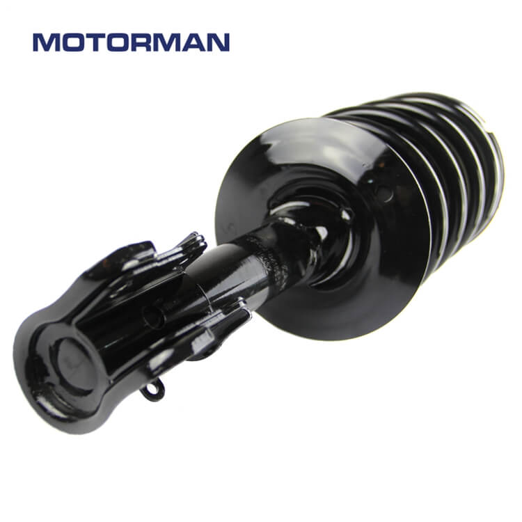 Auto Parts Strut Assembly 171580