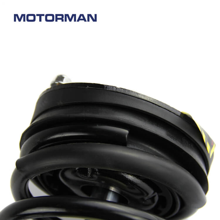 Motorman Strut Assembly 171669