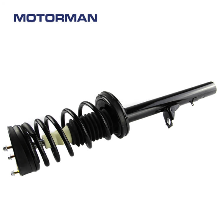 Motorman Strut Assembly 171669