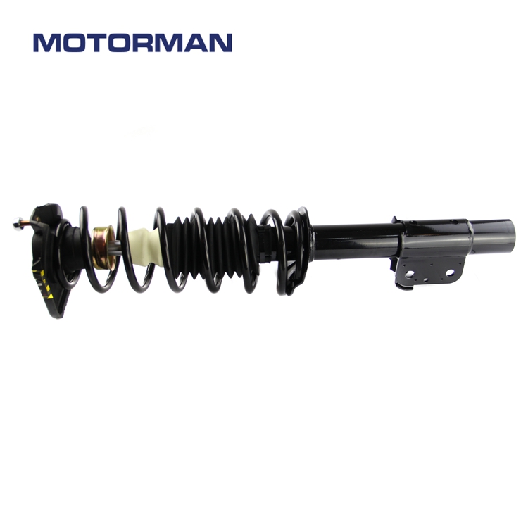 Auto Spare Parts Strut Assembly 171686