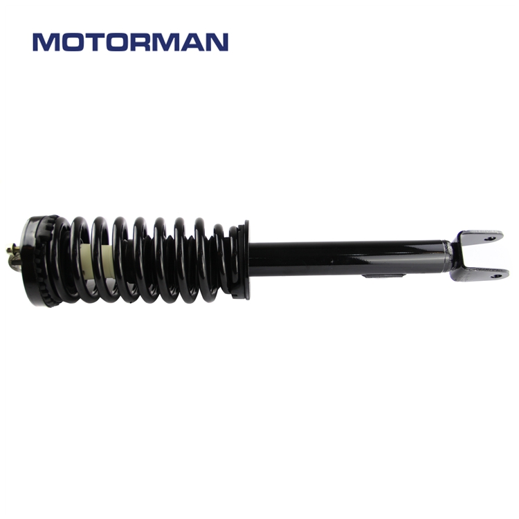 Motorman Strut Assembly 172248