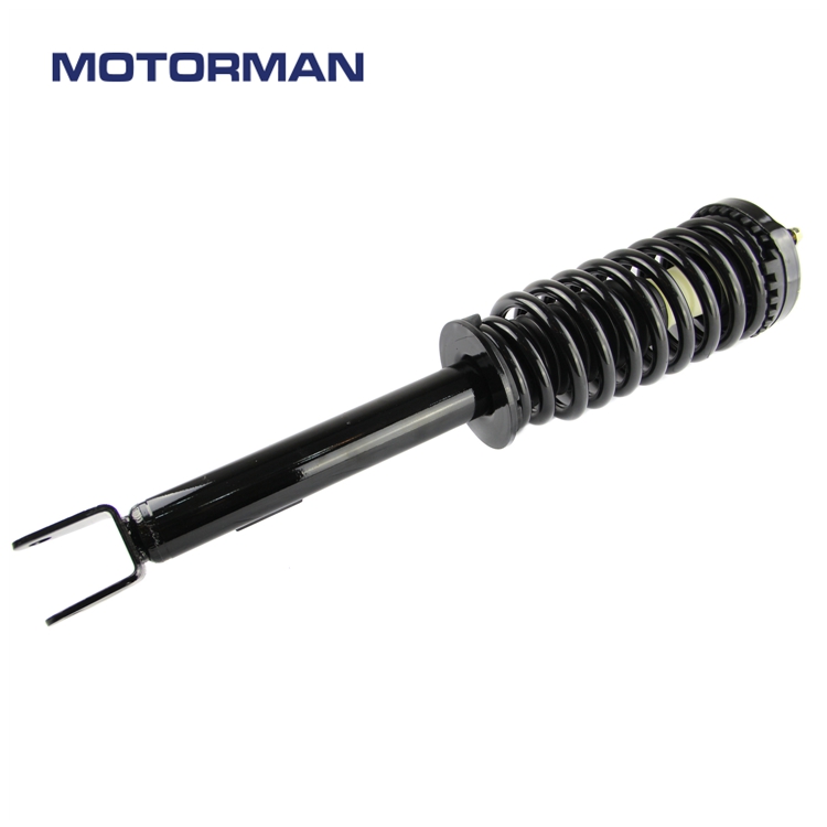 Motorman Strut Assembly 172248