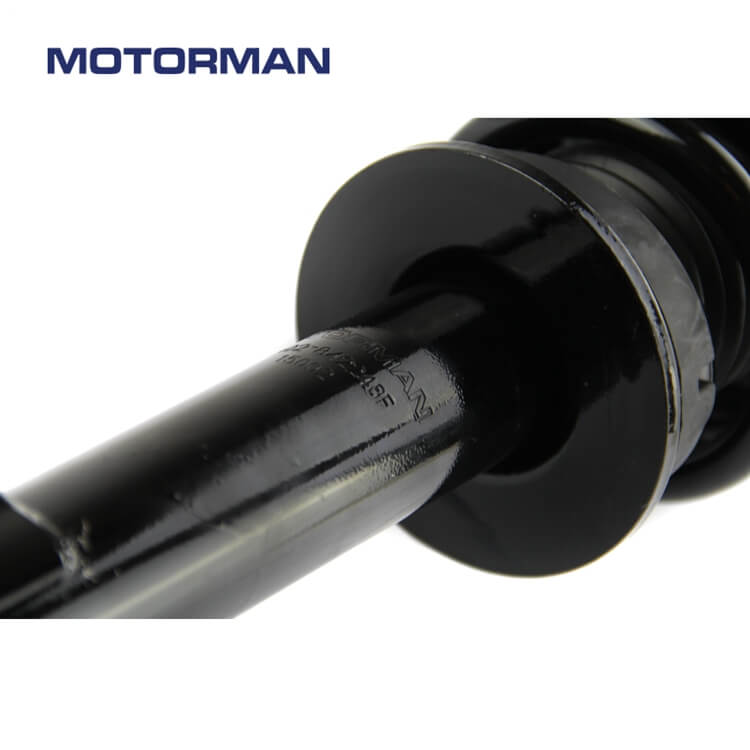 Motorman Strut Assembly 172248